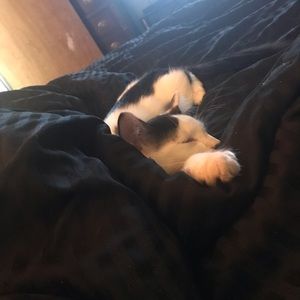 Meet your Posher, Heather